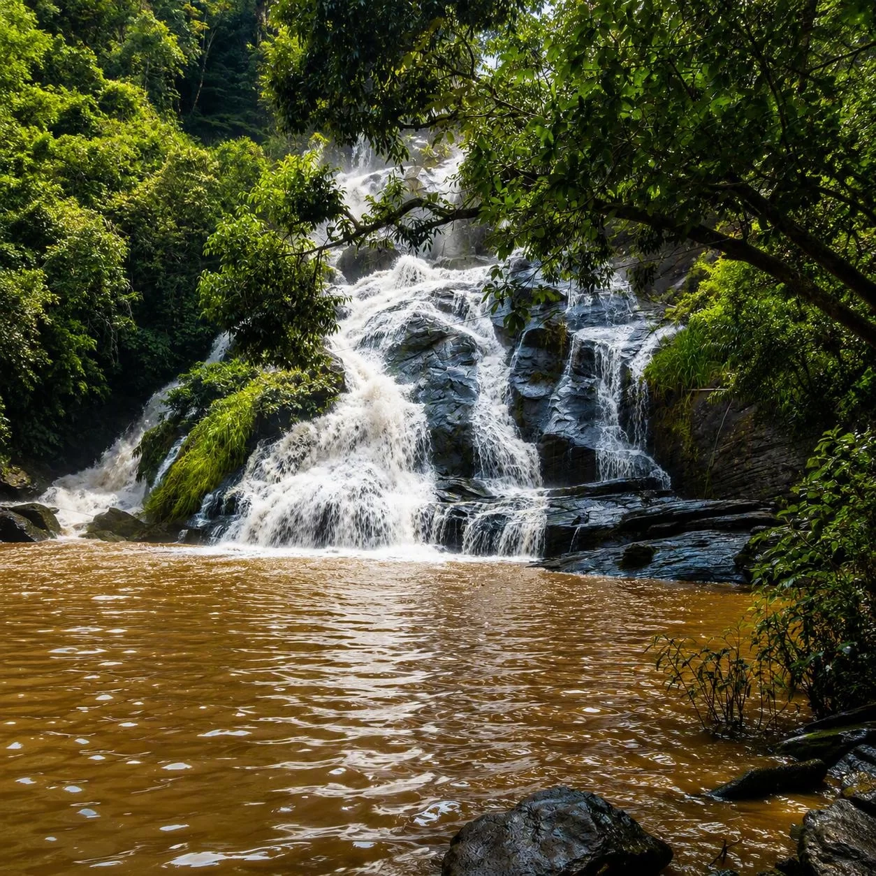 Cachoeira do Perigo em Baturité: natureza, trilha e banho gelado na Serra — foto 1 de 2 em Guaramiranga